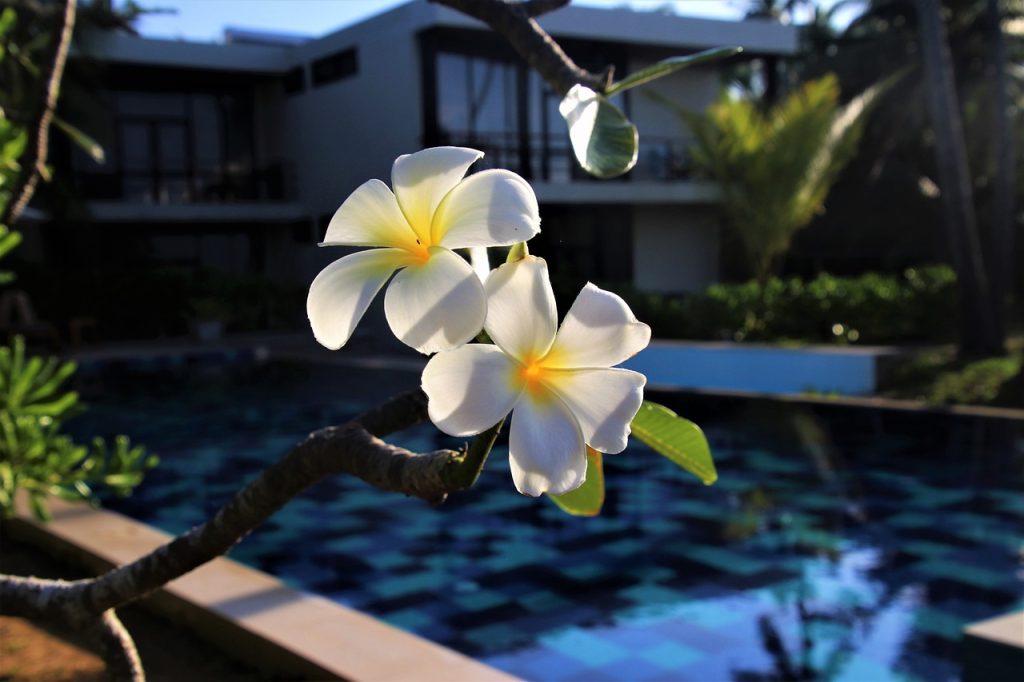 Swimming Pool Certificates of Compliance Balmain NSW